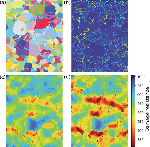 Figure 8. (a) The original grain map (used in EBSD-based mesh). (b) The normalised magnitude of the TF gradient (in loading direction). (c and d) The damage resistance at 10% and 12.5% macroscopic strain, respectively.