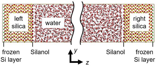 Figure 2. (Colour online) Silica–water system, where the rigid SPC/E model is used for water and the O–H bond length of the surface silanol is constrained.