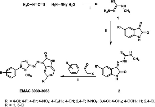Figure 1. Synthetic pathway to compounds EMAC 3039–3063; reagents and conditions: (i) methylisothiocyanate, hydrazine hydrate, ethanol, rt; (ii) 1-amino-3-methylisothiourea, substituted isatin, ethanol, reflux; (iii) 2, substituted acetophenones, isopropanol, rt.