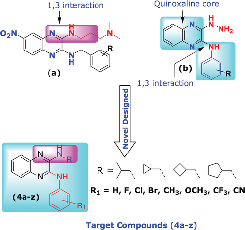 Figure 2. Novel designed from the privileged structure (a) Antibacterial activity from DNA intercalators [Citation66] (b) Hydrazine binding with specific amino acid of Dihydrofolate reductase protein. [Citation67].