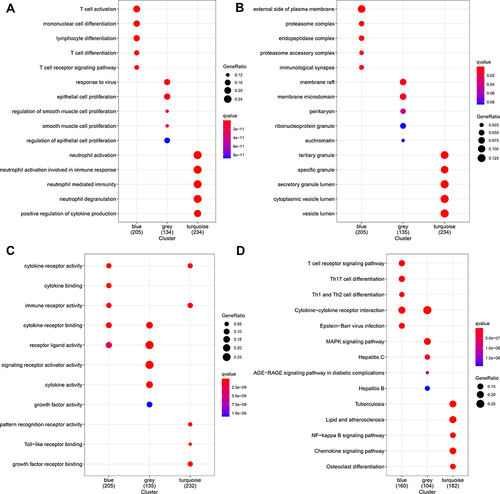 Figure 6 Functional analyses of three modules. Enrichment of cell functions evaluated by GO functional enrichment analysis of (A) biological process (BP), (B) cellular component (CC), and (C) molecular function (MF), (D) enrichment of cell function pathways evaluated by KEGG pathway enrichment analysis.