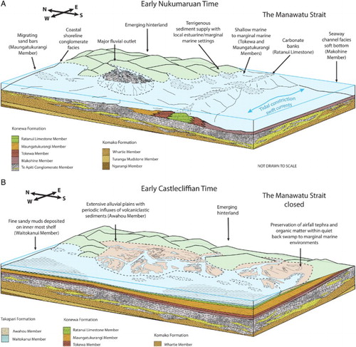 Figure 9. Schematic summary of the inferred environments of deposition in the Lower Pohangina Valley. A, Interpreted environments of deposition within the Manawatu Strait during early Nukumaruan time (2.4 Ma). B, Interpreted environments of deposition in the study area following closure of the Manawatu Strait in early Castlecliffian time (1.63 Ma).