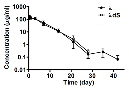 Figure 7. In vivo pharmacokinetic comparison of λ and λdS in mice. λ and λdS were administered intraperitoneally at single doses of 20 mg/kg into female CD-1 mice. Plasma antibody concentrations were determined at different time points (t = 0, 6 h, and at 1, 3, 7, 14, 21, 28, 35, 42 and 56 d). Each data point represents mean ± s.e.m. (n = 3).