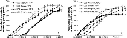 Figure 2. Accumulated marketable yield with different light sources at same (a) and adapted (b) temperature set points. Values are the means and ± SE of 24 plants in each light treatment. Letters indicate significant differences at the end of the experiment (HSD, p ≤ 0.05).