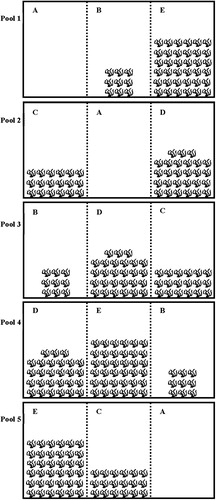 Figure 1. Experimental design. Five vegetation treatments randomly placed among 15 sub-pools (2 × 3 × 1 m) of five pools (6 × 3 × 1 m). A, B, C, D, and E indicate 0, 15, 30, 45 and 60% vegetation treatments, respectively. The broken lines indicate net barriers used to partition each pool into three equal sub-pools.