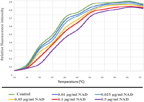 Figure 14. PARP1-NAD interaction was tested with thermal shift assay. Melting temperatures of PARP1-NAD interaction (Tm values).