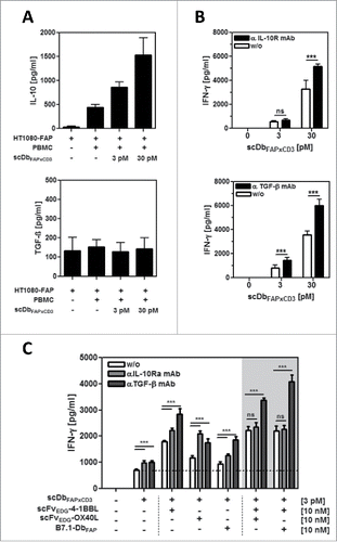 Figure 2. Expression and activity of endogenous IL-10 and TGF-β in the HT1080-FAP/PBMC co-culture setting. (A) Release of IL-10 and TGF-β into the co-culture supernatant (HT1080-FAP/PBMC unstimulated or stimulated) was determined after 24 h by sandwich-ELISA. (B) Immunosuppressive activity of IL-10 and TGF-β was demonstrated by blockade with antagonistic antibodies. T cells were stimulated via scDbFAPxCD3 in the HT1080-FAP/PBMC co-culture setting +/− anti-IL-10R mAb (10 µg/ml) and anti-TGF-β mAb (5 µg/ml), respectively. IFN-γ release was measured after 48 h by sandwich-ELISA. (C) Stimulation of T cells by the combinatorial setting of bispecific antibody and costimulatory fusion proteins +/− blocking IL-10 and TGF-β activity with 10 µg/ml anti-IL-10R mAb and 5 µg/ml anti-TGF-β mAb, respectively. IFN-γ release was measured after 48 h by Sandwich-ELISA. Graphics show mean ± SD, n = 3. *, P < 0.05; **, P < 0.01; ***, P < 0.001. Gray background points out the combination of 2 costimulatory fusion proteins.