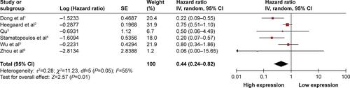 Figure S1 Forest plot of the pooled HRs for OS with esophageal squamous cell carcinoma excluded under the random-effects model.Abbreviations: HR, hazard ratio; OS, overall survival; IV, inverse variance; CI, confidence interval; SE, standard error.