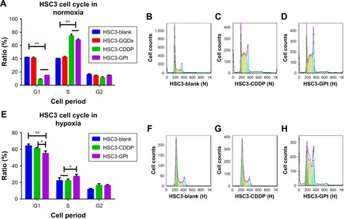 Figure 6 GPt enhances cell cycle arrest in OSCC cells. (A and E) Cell cycle changes of HSC3 cells treated with blank control, GQDs, free CDDP, and GPt under normoxia (A) or hypoxia (E) condition. (B–D) and (F–H) Cell cycle profiles of HSC3 cells treated with or without CDDP and GPt under normoxia (B–D) or hypoxia (F–H) condition for 24 hours. *p<0.05; **p<0.01.Abbreviations: CDDP, cisdiamminedichloroplatinum (II); GQDs, graphene quantum dots; OSCC, oral squamous cell carcinoma; N, normoxia; H, hypoxia; GPt, polyethylene glycol-GQDs-Pt.