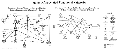 Figure 4. Top two gene networks generated from Ingenuity analysis of the STS vs. LTS differentially hypermethylated genes. Of the 23 STS differentially hypermethylated genes, 18 genes fell within these two networks. Methylated genes are shaded gray, while the necessary connecting genes are unshaded.