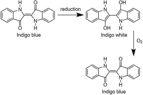Figure 2. Reaction of indigo dyeing.