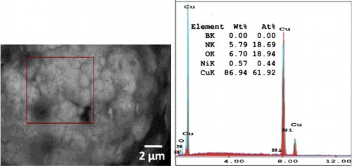 Figure 5. EDS analysis of mixed 5% BN/Ni-Cu particles.