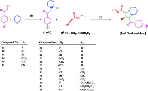 Scheme 1. Synthesis of 1,2,3-trisubstiuted indolizine derivatives (2a–2f, 3a–3d, 4a–4c): Reagents and conditions (i) pyridine, dry acetone, stir at room temperature, 5 h; (ii) ethyl propialate/ethy1 2-butynoate/diethy1 2- butynedioate water, stir 80 °C, 3 h