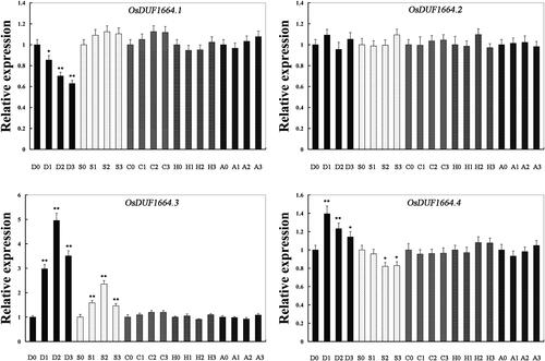 Figure 3. Relative expression levels of OsDUF1664 genes in Nipponbare rice seedlings at the emergence of the fourth leaf under various stress conditions and ABA treatment detected by real time PCR. D, drought; S, salt; C; cold; H, heat; A, ABA. Note: For salt stress and drought stress, seedlings were sampled at 0, 4, 8 and 16 h. For ABA, heat and cold stress, seedlings were sampled at 0, 1, 3, 8 h. The rice Actin1 transcript levels were used as internal controls. Error bars indicate standard error of the means based on three biological replicates. *P < 0.05 (Student’s t test). **P < 0.01 (Student’s t test).