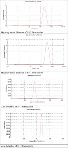 Figure 1. Hydrodynamic diameter and zeta potential of various formulation.