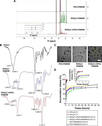 Figure 1 Characterization of conjugates and drug delivery system.Notes: (A) Citation1H-NMR spectra of PEG-PAMAM, RGDyC-PAMAM and RGDyC-mPEG-PAMAM, insert was the characteristic peaks of RGDyC at 6.70 and 7.00 ppm. (B) FT-IR spectra of RGDyC, RGDyC-PAMAM and RGDyC-mPEG-PAMAM. (C) Transmission electron microscopy images of PEG-PAMAM, RGDyC-PAMAM and RGDyC-mPEG-PAMAM. Scale bar, 200 nm. (D) In vitro release profiles of ATO-sol, PEG-PAMAM/ATO and RGDyC-mPEG-PAMAM/ATO in pH 7.4 and pH 5.5, insert was the release from 0 h to 4 h.