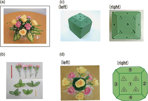 Figure 1. Materials and procedures used in the SFA programme. (a): An example of a floral arrangement pattern. (b): Materials used in the SFA. (c): A polygonal shaped absorbent sponge with impressions of various shapes: overall view (left) and overhead view (right). (d): Floral arrangement pattern (left) and diagram of the absorbent sponge (right). This was provided in the instruction sheet as the second stage of the floral arrangement task. The circles and triangles correspond to the impressions on the sponge (c: right). The shapes are a guide to which materials should be placed; the materials were placed vertically to the plane of the shaped sponge (e.g., four lateral roses were placed on the 45-degree angled plane of the sponge marked by a circle). The numbers denote the sequence in which the items were to be placed (right). On the basis of the diagrams in the instruction sheet, the participants were able to identify the placement position for each item, which they memorised temporarily, and subsequently followed step-by-step. Finally, after placing three types of materials (roses, carnations, and variegated leaves) on predetermined positions, small leaves and/or flowers were arranged randomly to fill up the remaining area on the absorbent sponge. [To view this figure in colour, please visit the online version of this Journal.]