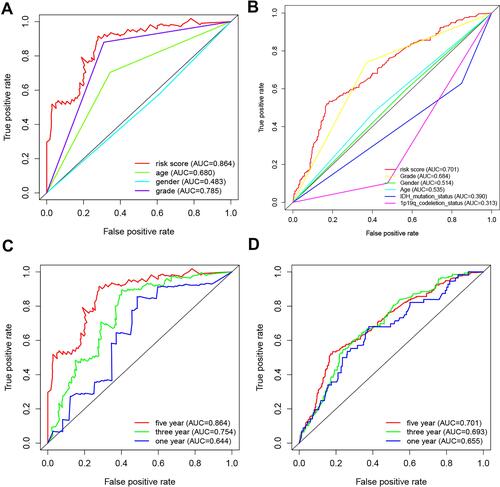 Figure 1 A comparison of 5-year ROC curves with other common clinical characteristics showed the superiority of the risk score in the training cohort (A) and in the external validation cohort (B). The 1-, 3-, and 5-year survival ROC curves of training (C) and external validation cohorts (D).
