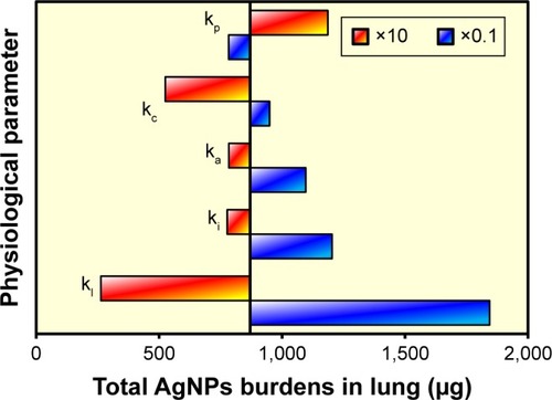 Figure 7 Sensitivity analysis for physiological parameters used in the PBAD model against total AgNP accumulation in human lung (μg) posed by aerosolized AgNP spray products.Abbreviations: AgNP, silver nanoparticle; PBAD, physiologically based alveolar deposition; ki, transfer rate of AgNPs from alveolar region to interstitial region; kl, transfer rate of AgNPs from interstitial region to lymph node; kp, phagocytosis rate of macrophage; ka, apoptosis rate of macrophage; kc, physical clearance rate of nanoparticle.