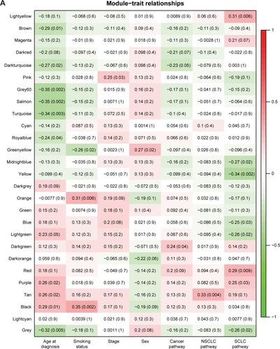 Figure 3 The correlations between network modules and patient features/cancer pathways.