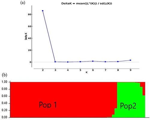 Figure 1. Population structure analysis of 54 rice accession; (a) Delta K showing the number of populations, (b) = bar plot of populations sorted by kinship matrix (Pop 1 = population 1, Pop 2 = population 2).