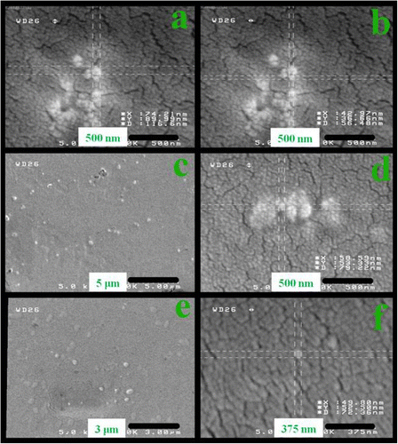 Figure 8 FE-SEM micrographs of AT/PVA nanocomposites N3 (a, b), N4 (c, d), and N5 (e, f).