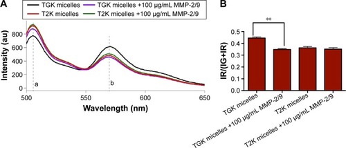 Figure 4 FRET analysis of DiO/DiI-loaded T2K micelles and TGK micelles.Notes: Emission spectra of DiO/DiI-loaded T2K micelles, TGK micelles, DiO/DiI-loaded T2K micelles and TGK micelles (A), and the ratio of IR/(IR+IG) incubated at 37°C for 2 hours with or without MMP-2/9 (B). Values are expressed as mean ± SD (n=3). **P<0.01.Abbreviations: T2K micelles, micelles composed of TPGS/T2K (n:n =40:60); TGK micelles, micelles composed of TPGS/TGK (n:n =40:60); DiO, 3,3′-dioctadecyloxacarbocyanine perchlorate; DiI, 1,1′-dioctadecyl-3,3,3′,3′-tetramethylindocarbocyanine perchlorate; IG, fluorescence intensity at 510 nm; IR, fluorescence intensity at 565 nm; MMP, matrix metalloproteinase; TPGS, d-α-tocopheryl polyethylene glycol 1000 succinate; SD, standard deviation.