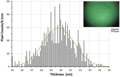 Figure 15. (Colour online) Distribution of pixel-wise thicknesses along the 800μm-long cross section (broken white line in the inset) indicated as a histogram of pixel counts per 0.1 nm thickness window. The free-standing film of 8CB was equilibrated for over 24 hours to be uniform in thickness, and imaged at 3.0X magnification for 0.42 sec exposure. The average of 10 images was taken to enhance S/N ratio. The brown line shows the best fit Gaussian