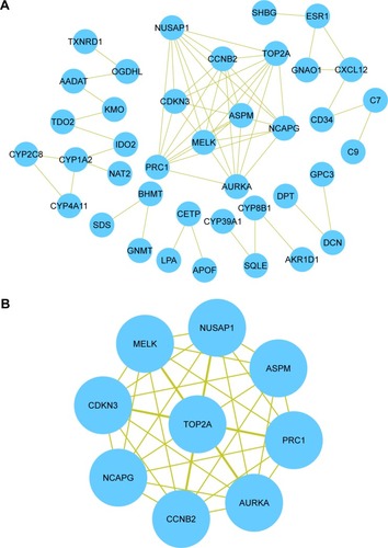 Figure 2 Protein–protein interaction network and the selected module.