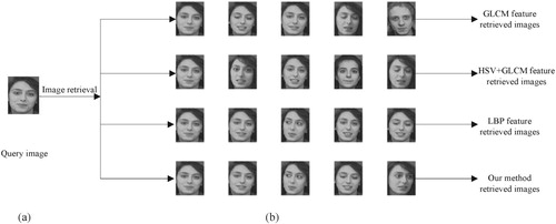 Figure 7. (a) Query image (b) images retrieved in AT&T.