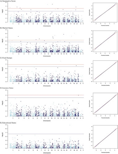 Figure 1. Manhattan plots of CpG methylation loci associated with SES factors. (a) Summative score, (b) marital status, (c) education level, (d) food security, and (e) insurance status. The x-axis represents the genomic location of the individual CpG locis and the y-axis represent the -log10(p value) associated with socioeconomic factors, adjusted for maternal age, race, infant sex, birth weight, gestational age, smoking exposure, placental inflammation, and cell-mixture; FDR threshold at 10% (bottom) and 5% (top) lines have been added to the plot, respectively. QQ plots (right side of the figure) here plot theoretical quantiles of the t-distribution on the x-axis against the empirical modified t-statistics estimated using the empirical Bayes procedure.