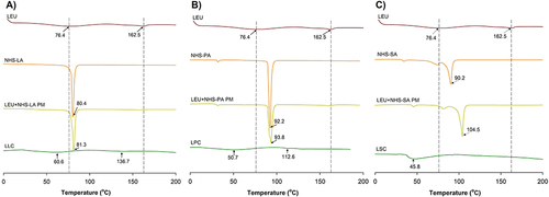 Figure 5 DSC thermograms of LEU acetate, NHS-FA esters, physical mixtures of LEU and NHS-FA esters, and three conjugates (LFCs). (A) LLC, (B) LPC, and (C) LSC.