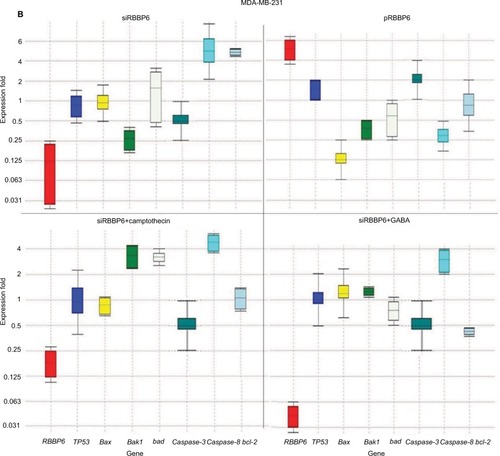 Figure 7 Relative quantification of gene expression in MCF-7 (A) and MD-MB-231 (B) cell lines performed using qPCR. Whisker box plots with expression ratio on the y-axis and gene type on the x-axis indicate quantification of mRNA isolated from cells treated with siRBBP6, pRBBP6, siRBBP6+camptothecin and siRBBP6+GABA. Gene expression is depicted by the color-coded whisker bars in the following manner: RBBP6 (red), TP53 (blue), bax (yellow), bak1 (light green), Bad (gray), caspase-3 (dark green), caspase-8 (cyan) and Bcl-2 (light blue).Abbreviations: qPCR, quantitative PCR; GABA, γ-aminobutyric acid.