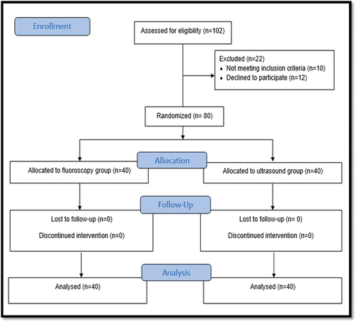 Figure 1. Study flow chart.