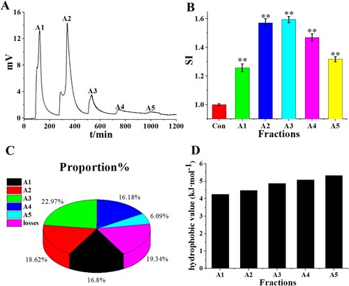 Figure 2. (A) Elution profile of RPHs on macroporous adsorption resin DA201-C. (B) Murine macrophage proliferation activity (SI) of separated fractions A1-A5. (C) Peptide yield of separated fractions A1–A5. (D) Hydrophobic value (kJ·mol−1) of separated fractions A1-A5.