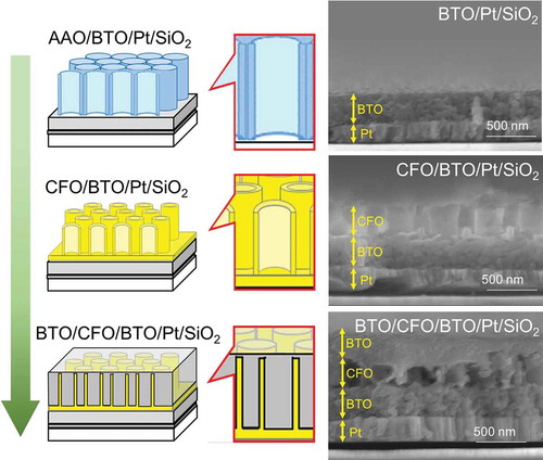 Figure 4. Schematic of the fabrication process for multiferroic nanocomposite, BTO/CFO/BTO, on a Pt-coated SiO2 substrate. The corresponding SEM images are shown to the right. From top to bottom: (AAO-placed) BTO compact layer on a Pt-coated SiO2 substrate; CFO nanotube arrays on BTO/Pt/SiO2; BTO coated CFO nanotube arrays on BTO/Pt/SiO2.