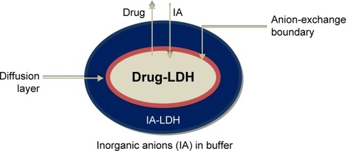 Figure 14 Schematic representation of the diffusion of the drug from the bulk solution surrounding the particle.Citation113