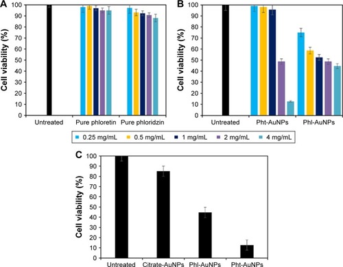 Figure 5 HeLa live/dead cell fluorescence staining analysis via flow-cytometry.Notes: (A) Comparison of the pure drug forms of phloretin and phloridzin to non-inoculated cells. (B) Comparison of the AuNP functionalized forms of the drugs to non-inoculated cells. (C) Comparison of the functionalized AuNP to pure AuNP to determine the synergistic activity of the Pht-AuNPs and Phl-AuNPs.Abbreviations: AuNP, gold nanoparticle; Pht-AuNP, phloretin-conjugated gold nanoparticles; Phl-AuNPs, phloridzin-conjugated gold nanoparticles.