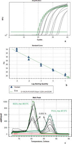 FIGURE 4 The sensitivity of EvaGreen based duplex real-time PCR. B: Beef; P: Pork; mp: Melting peak.