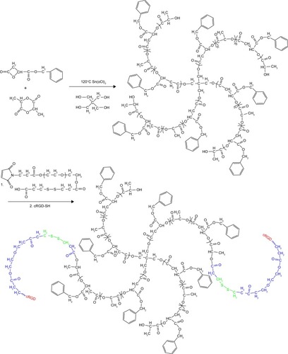 Scheme 2 The synthetic routes of RGD-PEG-ss-4sPLMBz copolymer.Abbreviations: cRGD, cyclic RGD; PEG, poly(ethylene glycol).
