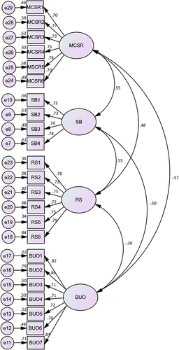 Figure 2 Measurement model.