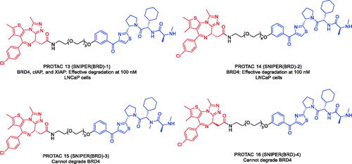 Figure 7. Representative PROTACs targeting BRD4.