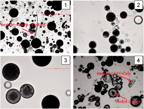 Figure 2. Micrographs of different inner phase of liquid (1), Gel 1 (2), Gel 2 (3) and solid (4).
