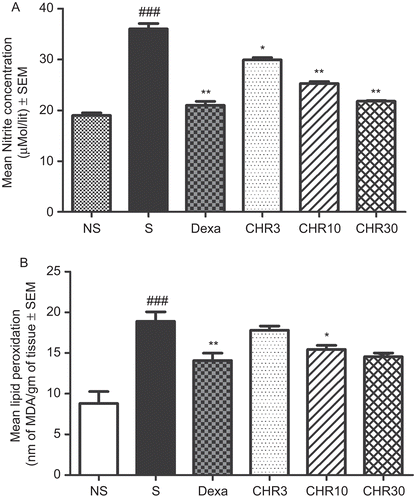Figure 4.  Effect of chrysin on (A) nitrite content from BALF (B) lipid peroxidation from lung homogenate. NS, non-sensitized (OVA-challenged, treated with vehicle), S, sensitized (OVA-sensitized and challenged, treated with vehicle), Dexa, OVA-sensitized and challenged treated with dexamethasone 1 mg/kg, CHR3, CHR10, CHR30, OVA-sensitized and challenged, treated with chrysin 3, 10, and 30 mg/kg, p.o., respectively. Results are presented as mean ± SEM. ANOVA followed by Dunnett’s test. ###p < 0.001 when sensitized group versus non-sensitized group, *p < 0.05, **p < 0.01 when Dexa, CHR3, CHR10, CHR30 groups versus sensitized group.