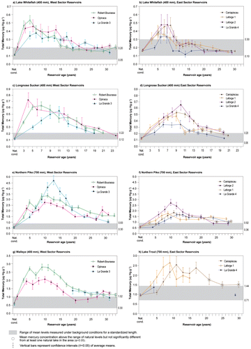 Figure 2. Temporal evolution of mean concentrations of total mercury (μg g−1 wet weight, ±95% CI) at standardized lengths of the main fish species in reservoirs in the La Grande Complex: (a and b) lake whitefish; (c and d) longnose sucker; (e and f) northern pike, in West and East Sector reservoirs, respectively; (g) walleye in West Sector; and (h) lake trout in East Sector.