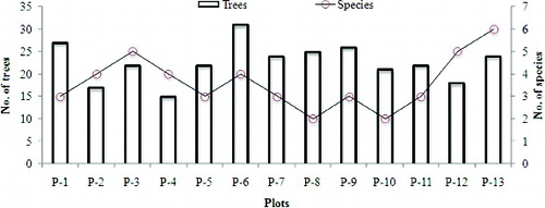 Figure 3. Tree abundance and number of species recorded in different plots in the Sibuti mangrove forest.
