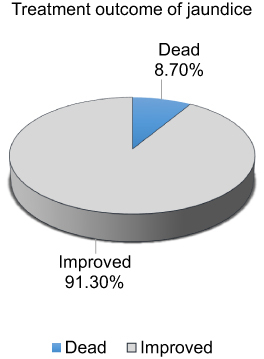 Figure 1 Treatment outcome of jaundice among neonates treated in neonatal intensive care unit of university comprehensive and specialized hospitals of SNNPR, Ethiopia 2022.