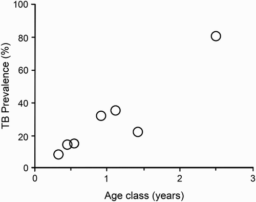 Figure 1. Estimated age-specific prevalence of tuberculosis (TB) in a sample of 407 ferrets (Mustela furo) from Molesworth Station in the Marlborough region of New Zealand. Age classes are monthly below 1 year, then pooled for 16–18 months old and >23 months. Age-specific prevalence of TB was estimated by ageing all infected ferrets and a random selection of uninfected ferrets, using the latter to estimate the age distribution for all uninfected ferrets (from Nugent and Whitford Citation2008).