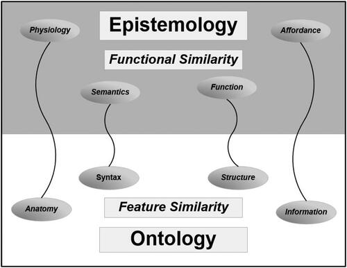 Figure 2. Ontology versus epistemology offer distinctively different perspectives on the nature of similarity.