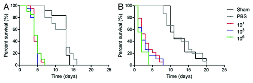 Figure 1. Log-Rank plots of the survival of G. mellonella after infection with different concentrations of P. lutzii yeast cells. G. mellonella infected and incubated at (A) 25°C or (B) 37°C. Controls included uninfected larva (Sham) and larva injected with PBS. n = 40 larvae per group.